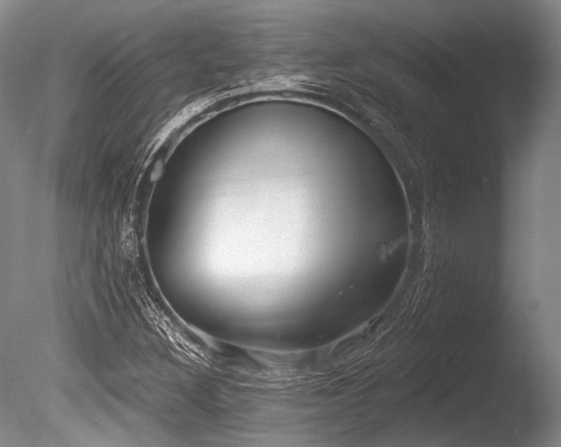 X0000086251308200703291356