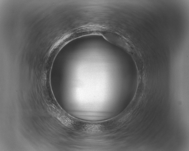 X0000086251309200703291356
