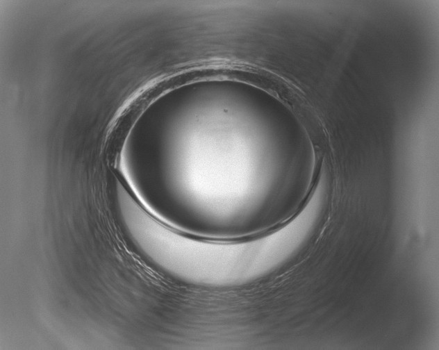 X0000086251310200703291356