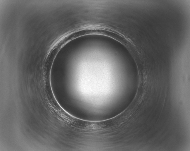 X0000086251311200703291356
