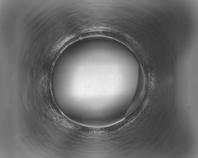 X0000086251313200703291356