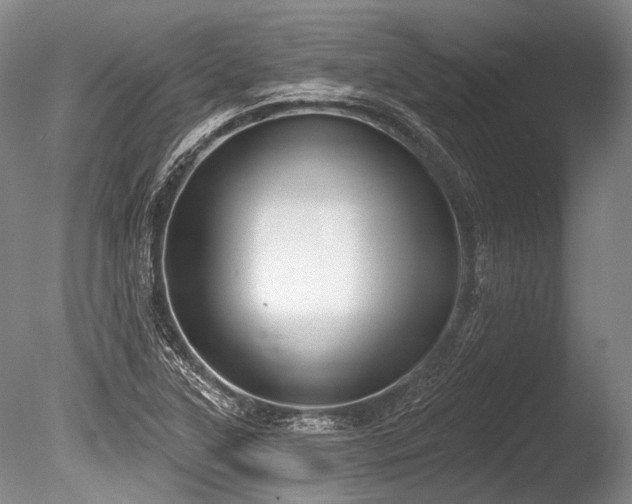 X0000086251315200703291356