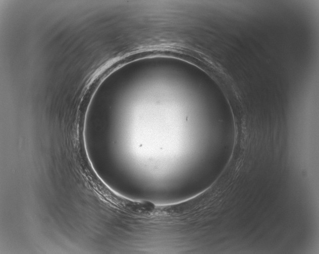 X0000086251316200703291356