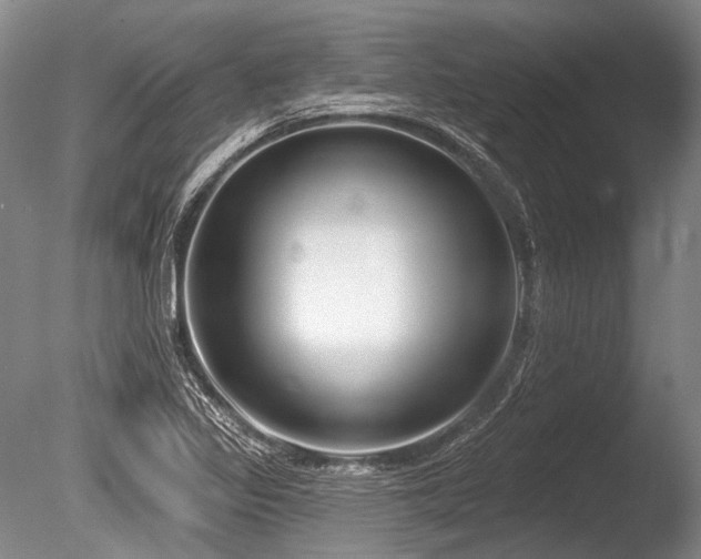X0000086251317200703291356
