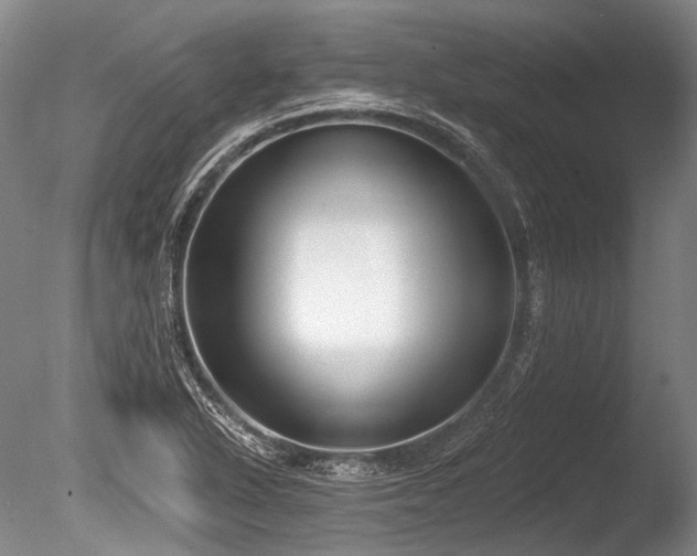 X0000086251318200703291356