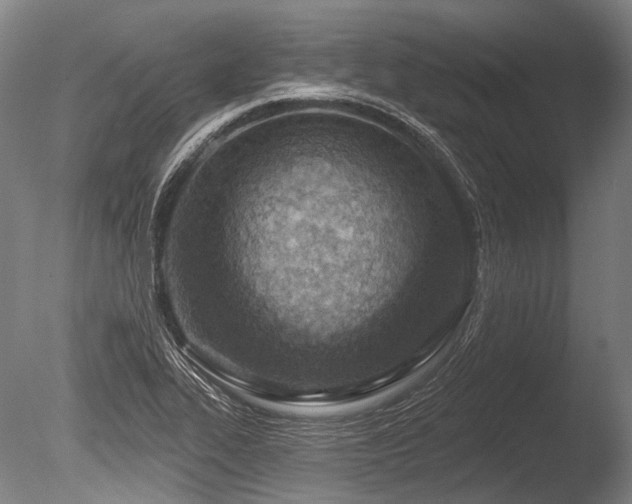 X0000086251319200703291356