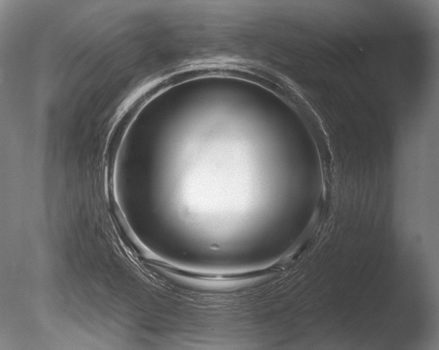 X0000086251320200703291356