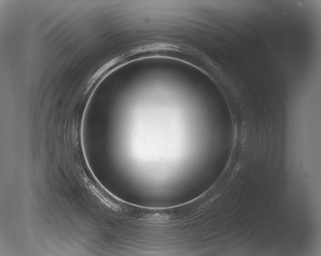 X0000086251321200703291356
