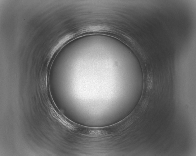 X0000086251322200703291356