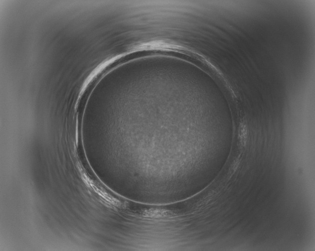 X0000086251323200703291356