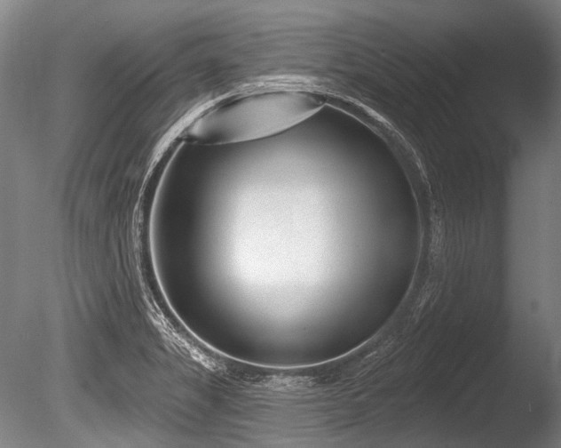 X0000086251325200703291356