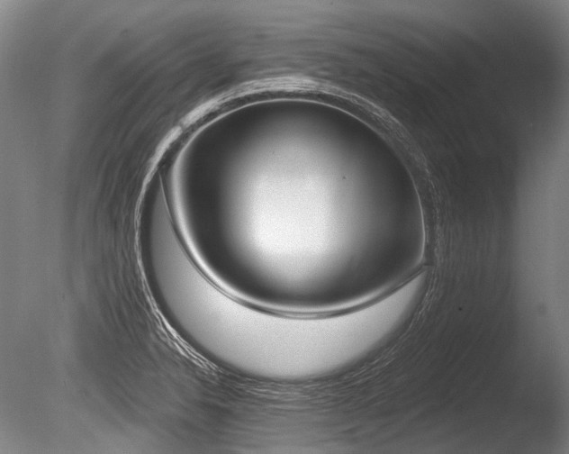X0000086251326200703291356
