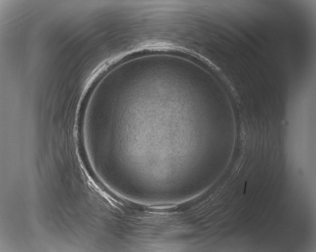 X0000086251327200703291356