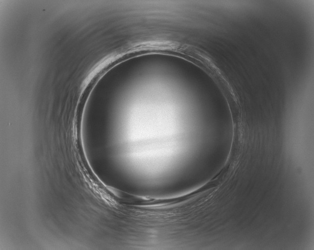 X0000086251328200703291356