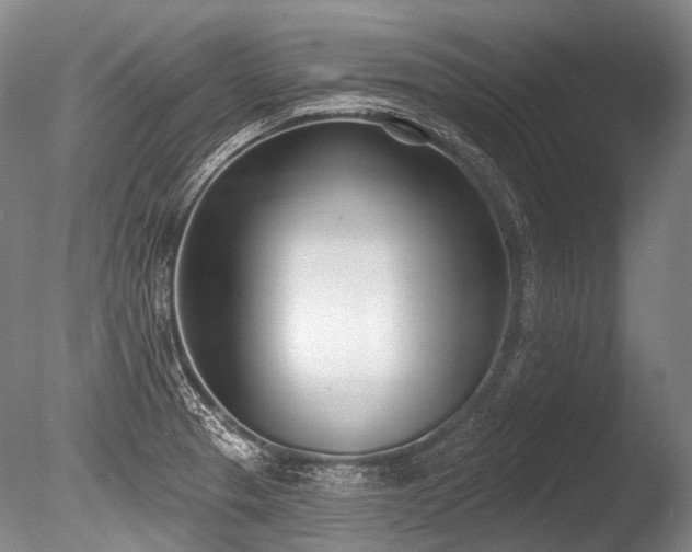 X0000086251329200703291356
