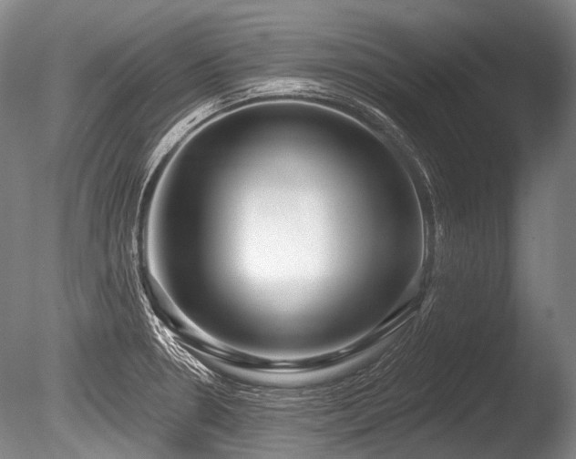 X0000086251330200703291356