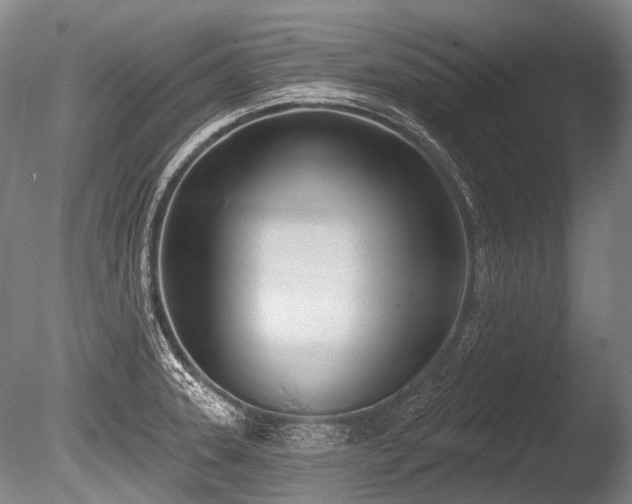 X0000086251331200703291356