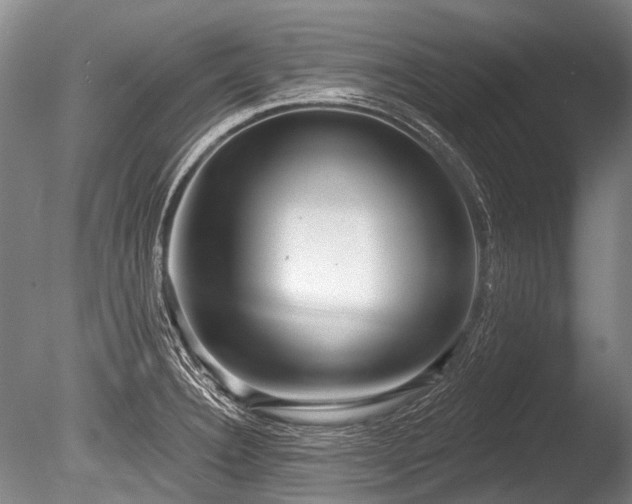 X0000086251332200703291356