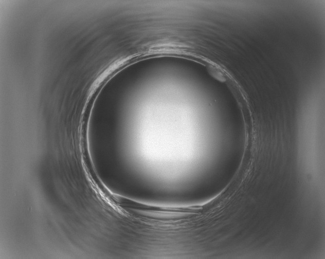X0000086251333200703291356