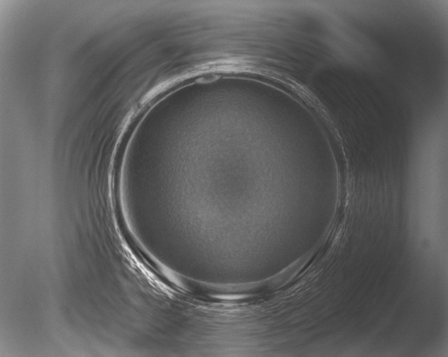 X0000086251334200703291356