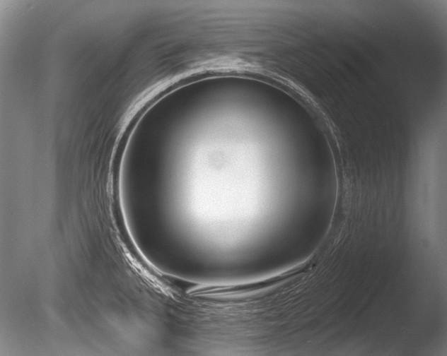 X0000086251335200703291356