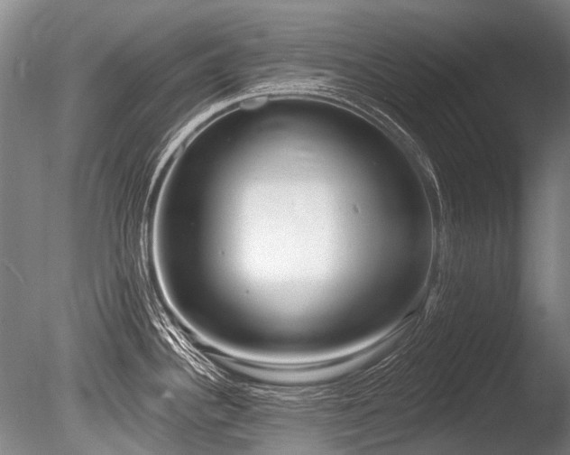 X0000086251340200703291356