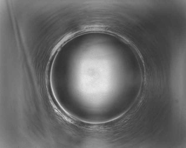 X0000086251341200703291356