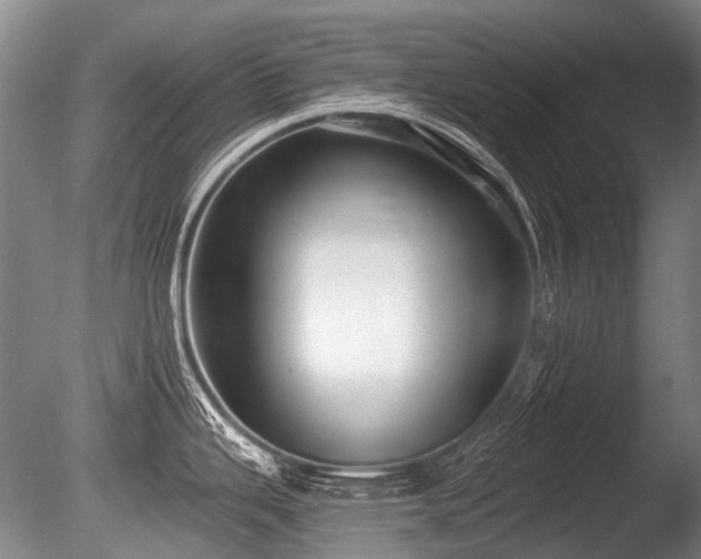 X0000086251343200703291356