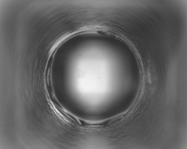 X0000086251344200703291356