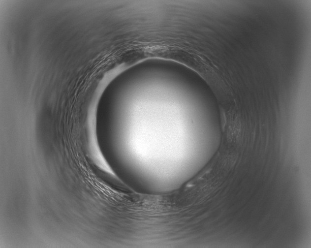 X0000086251345200703291355