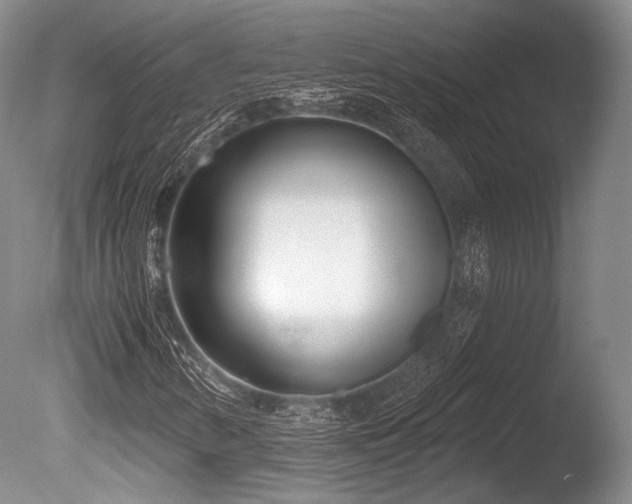 X0000086251346200703291355