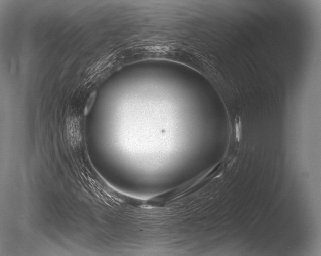 X0000086251347200703291355
