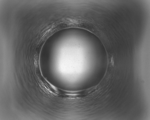 X0000086251348200703291355