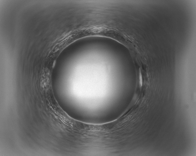 X0000086251349200703291355