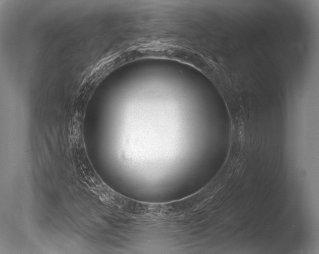 X0000086251350200703291355