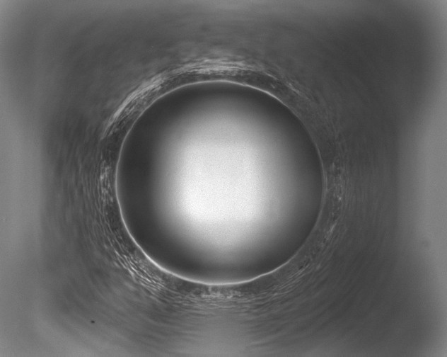 X0000086251351200703291355