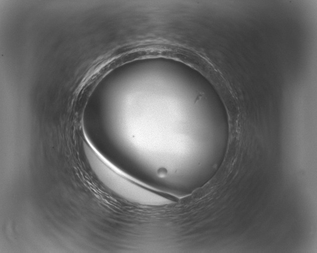 X0000086251352200703291355