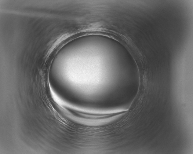 X0000086251356200703291355