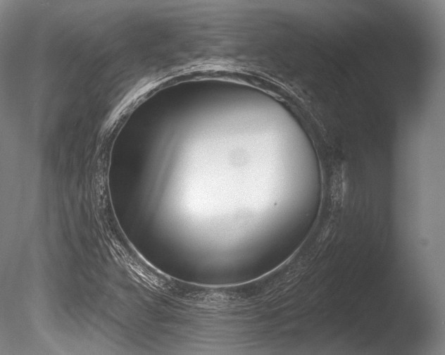 X0000086251359200703291355