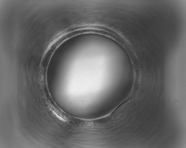X0000086251360200703291355