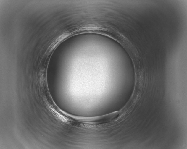 X0000086251361200703291355