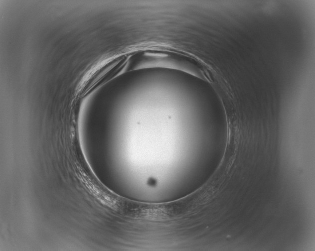 X0000086251363200703291355