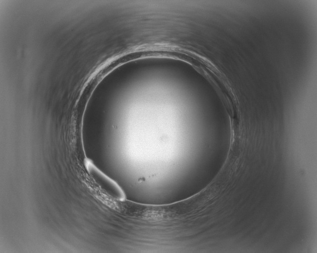 X0000086251364200703291355