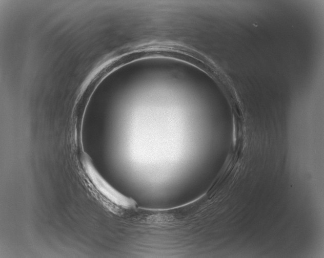 X0000086251368200703291355
