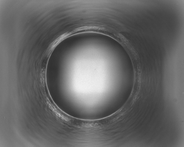 X0000086251369200703291355