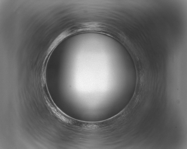 X0000086251370200703291355