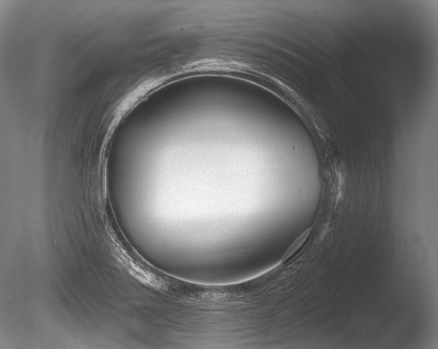 X0000086251371200703291355