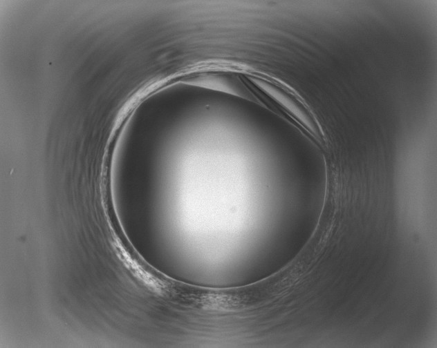 X0000086251379200703291355