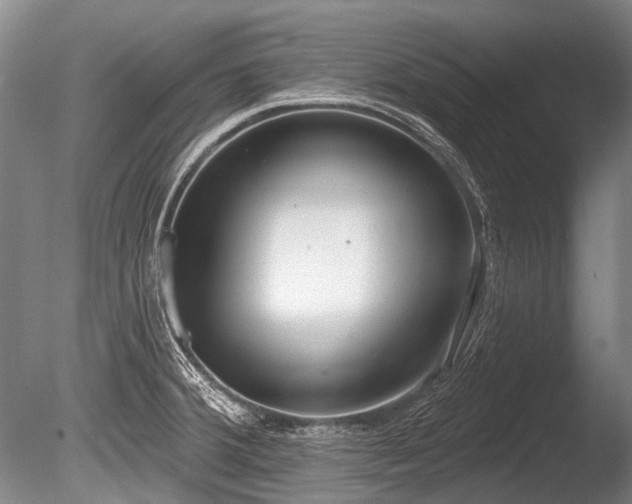 X0000086251380200703291355