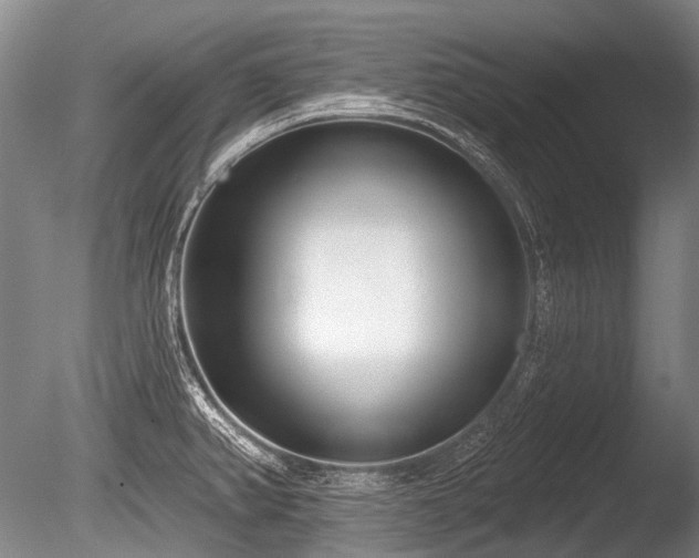 X0000086251382200703291355